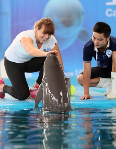 温度与触觉 温度与触觉